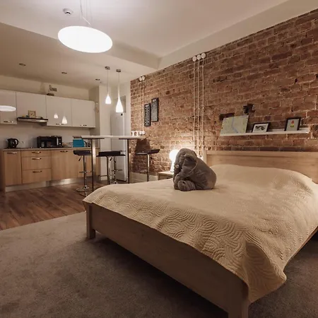 Apartman Doma Laukums In The Heart Of 1 *